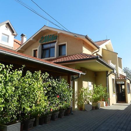 Guesthouse Ellite Požarevac Buitenkant foto