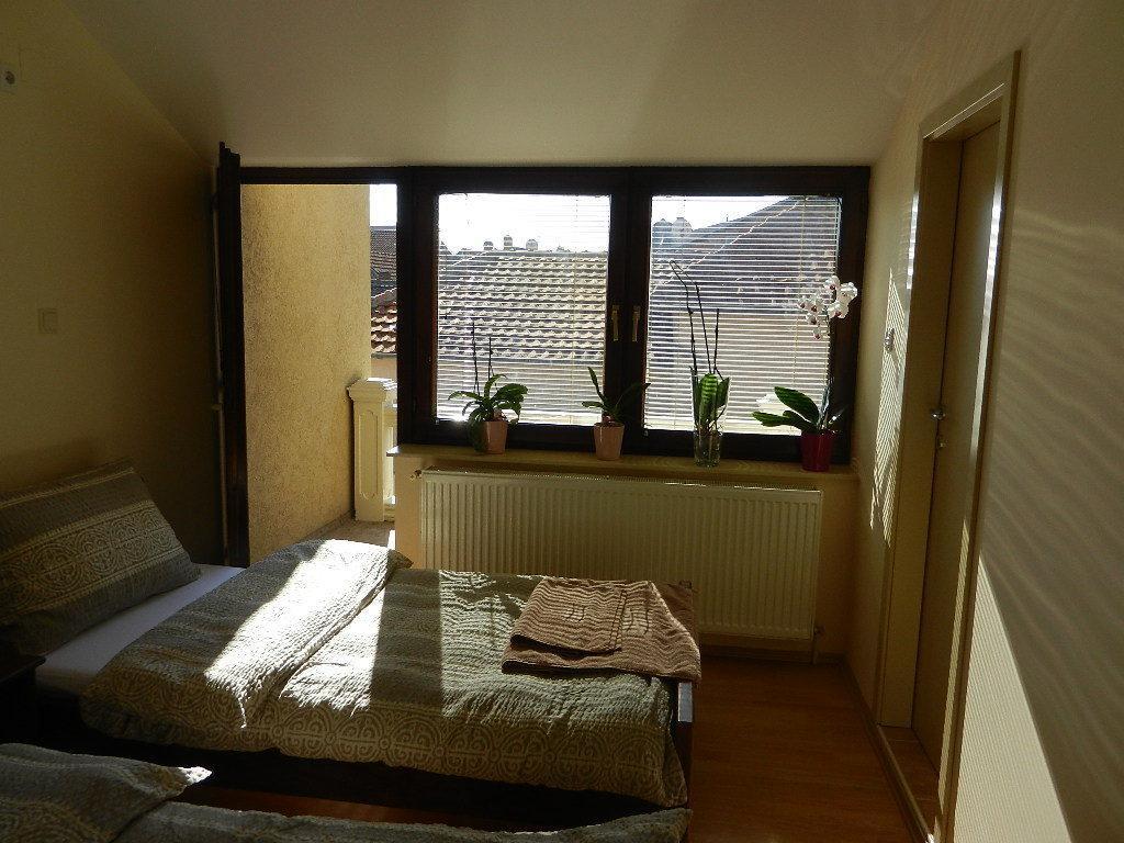 Guesthouse Ellite Požarevac Kamer foto